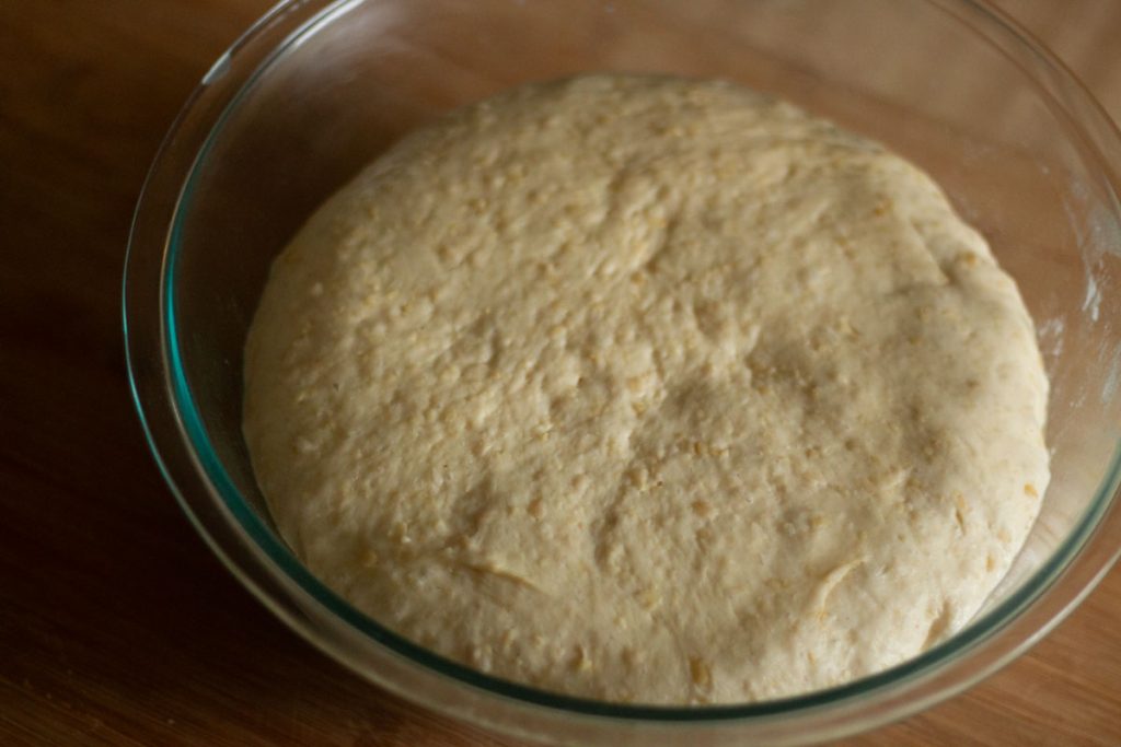 honey oat proofed dough in an oiled bowl