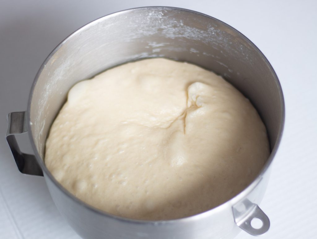 sourdough brioche proofed dough inside mixing bowl