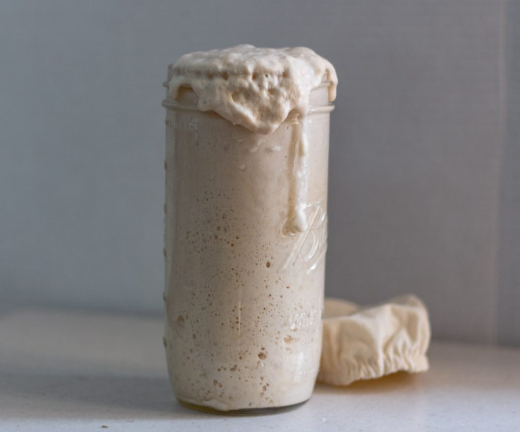 sourdough starter inside mason jar