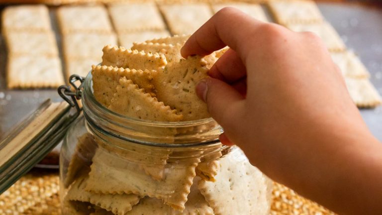 hand holding a sourdough crackers