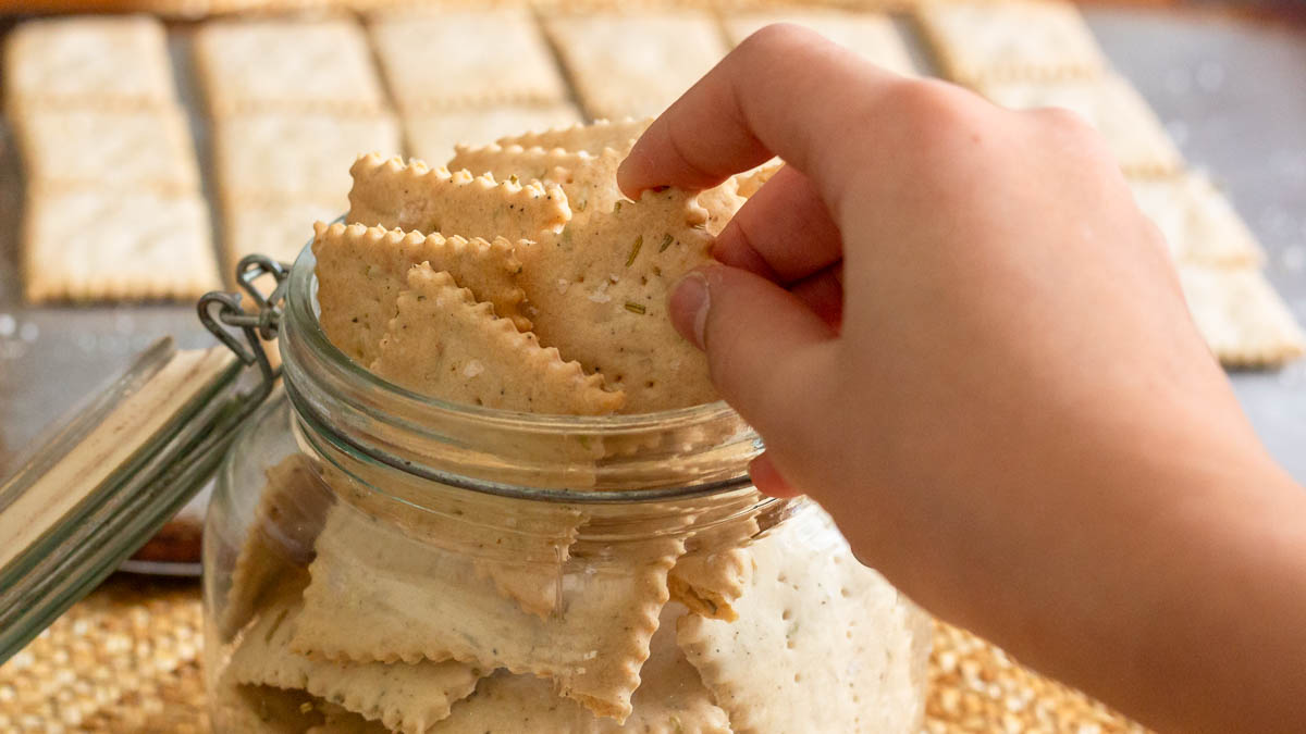 hand holding a sourdough crackers