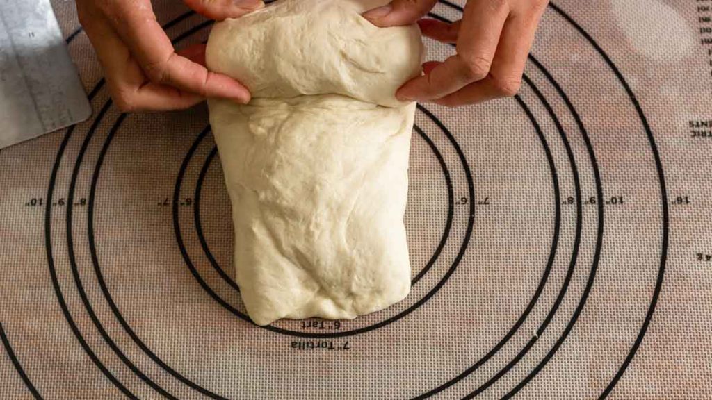 sourdough sandwich bread dough log form 1