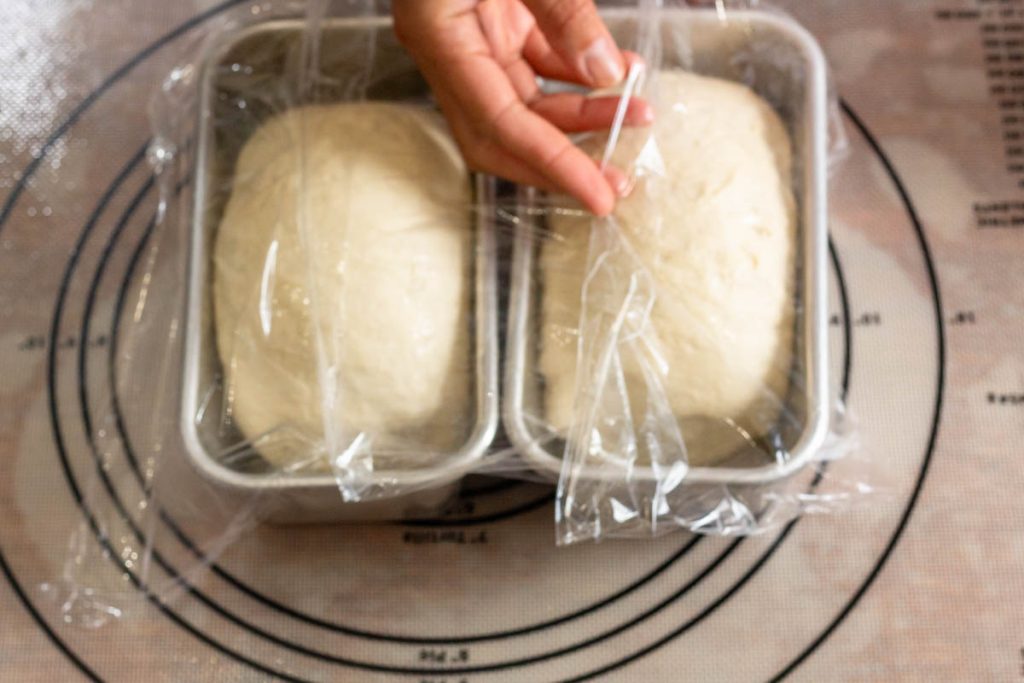 two loaves covered with plastic wrap