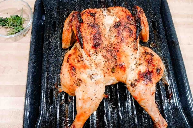 Easy Spatchcock Chicken Recipe