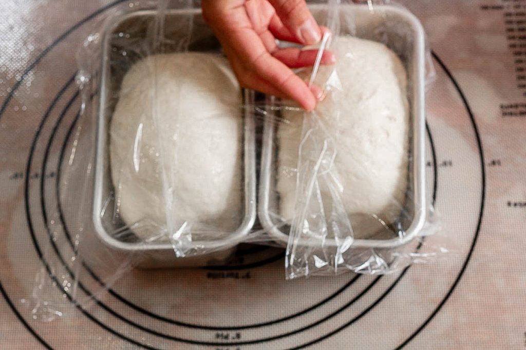 hand holding a plastic over sourdough sandwich bread loafs